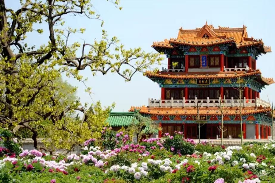 Caozhou Peony Garden